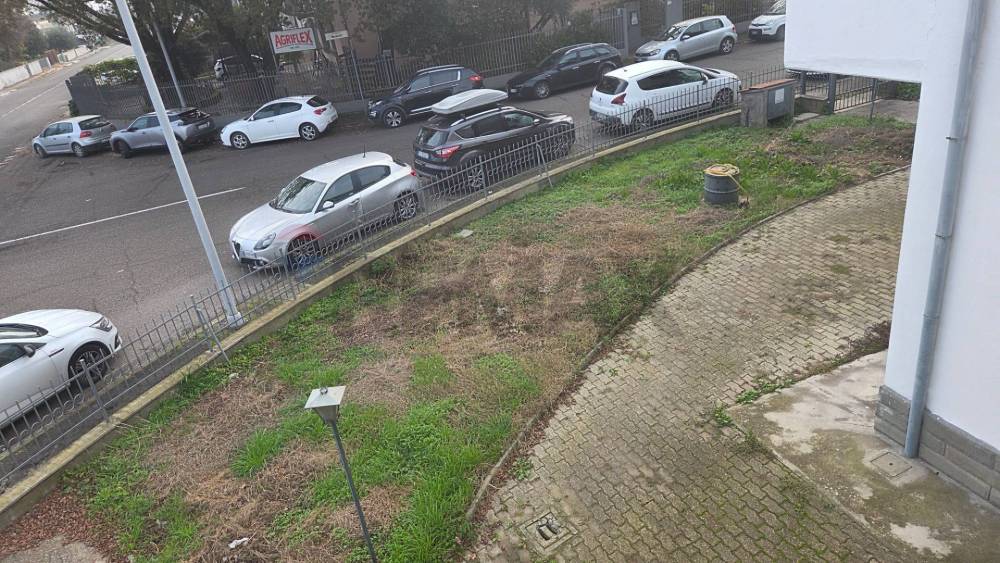 immagine annuncio 11 di 14