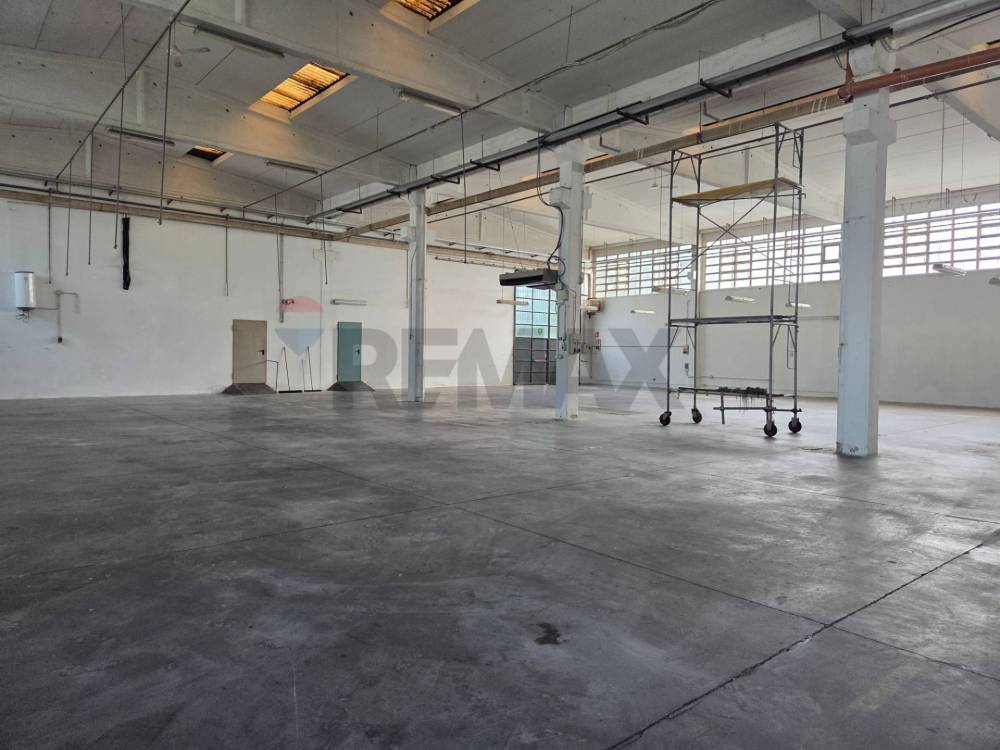 immagine annuncio 9 di 14