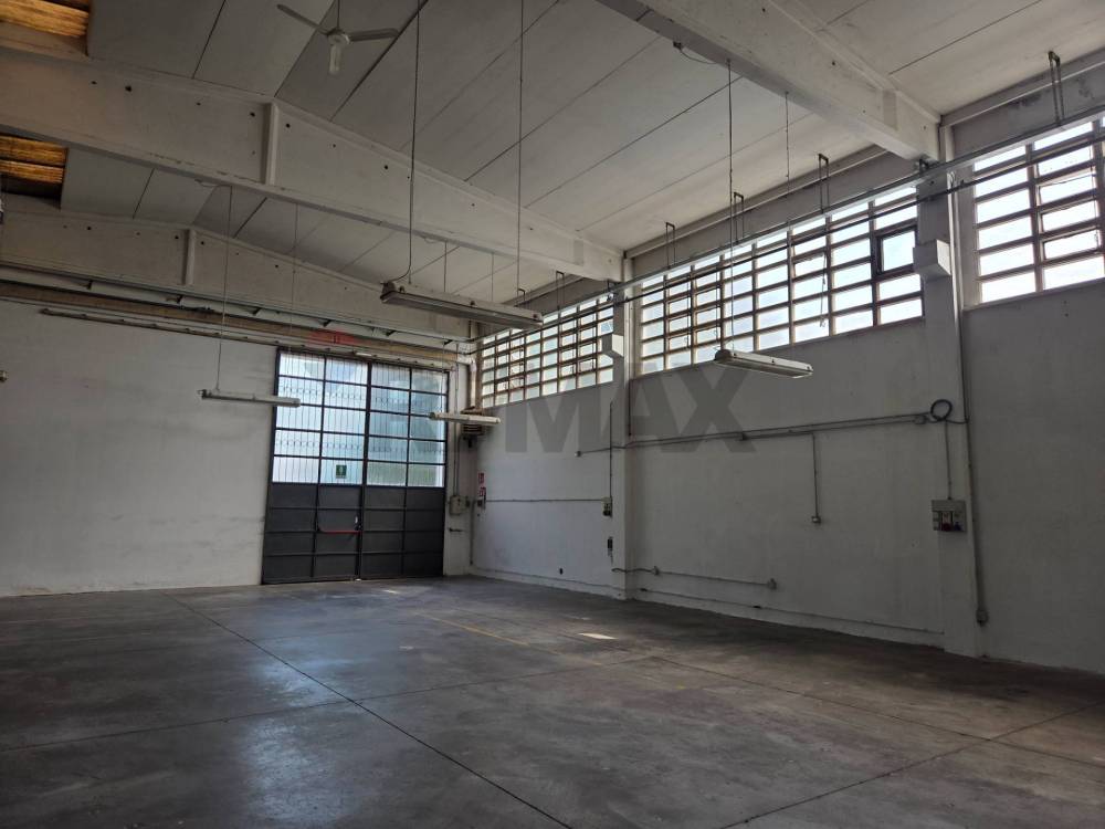 immagine annuncio 12 di 14