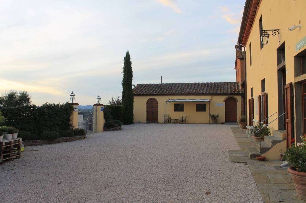 immagine annuncio 10 di 13