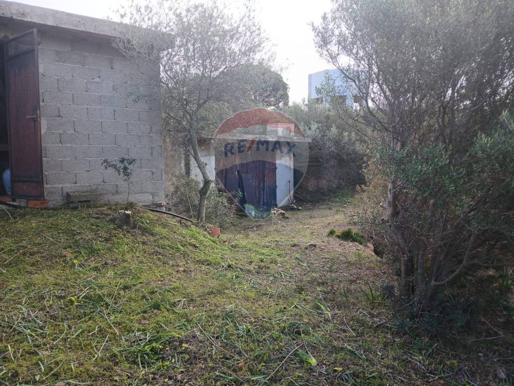 immagine annuncio 7 di 13