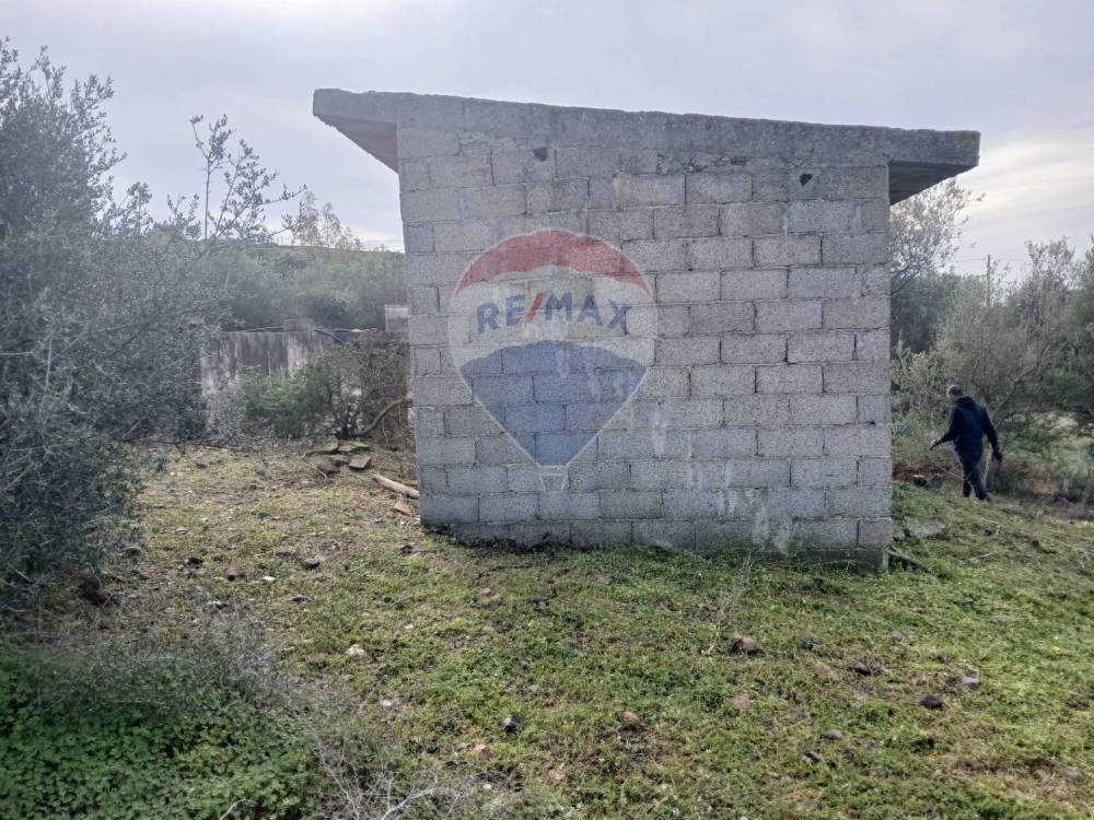 immagine annuncio 10 di 13