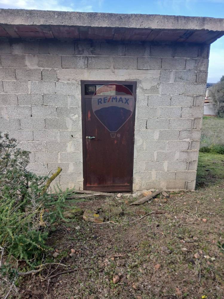 immagine annuncio 12 di 13