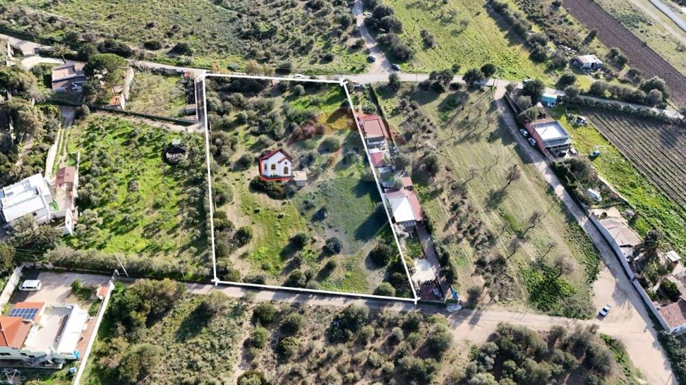 immagine annuncio 5 di 13