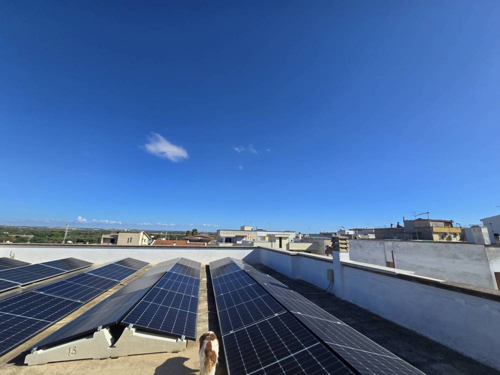 immagine annuncio 2 di 13