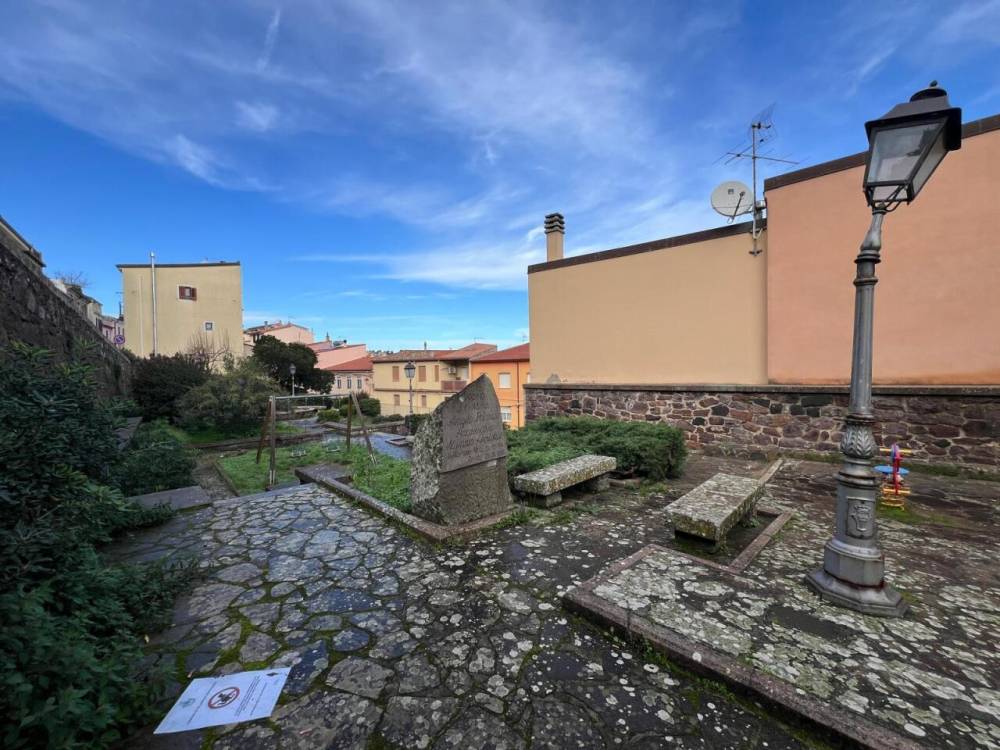 immagine annuncio 9 di 14