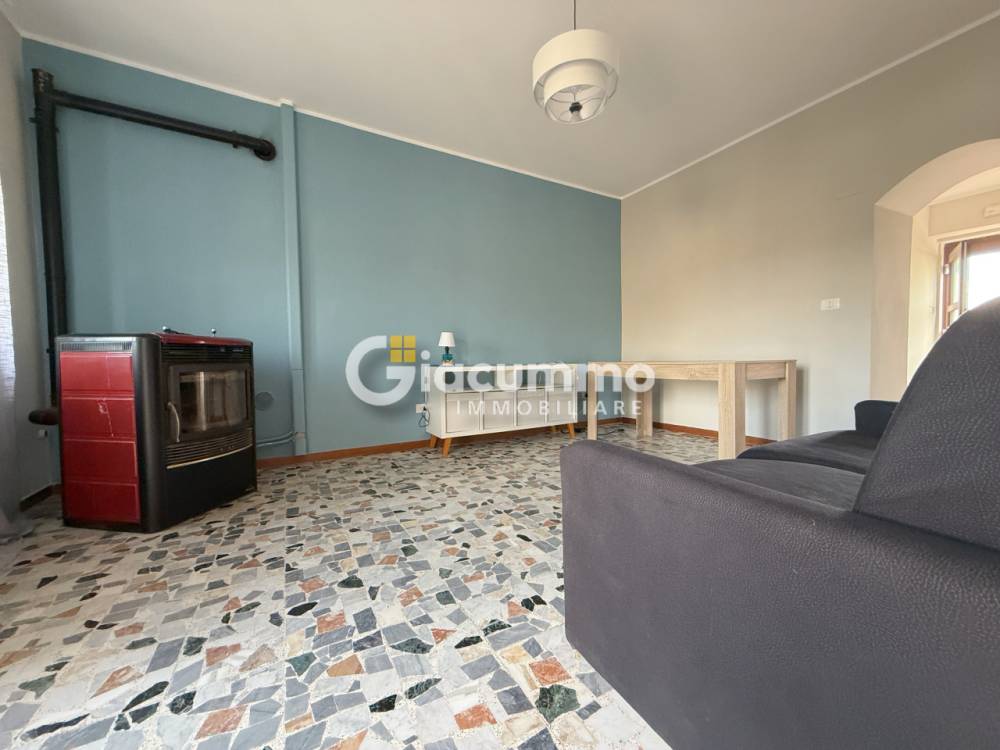 immagine annuncio 6 di 13