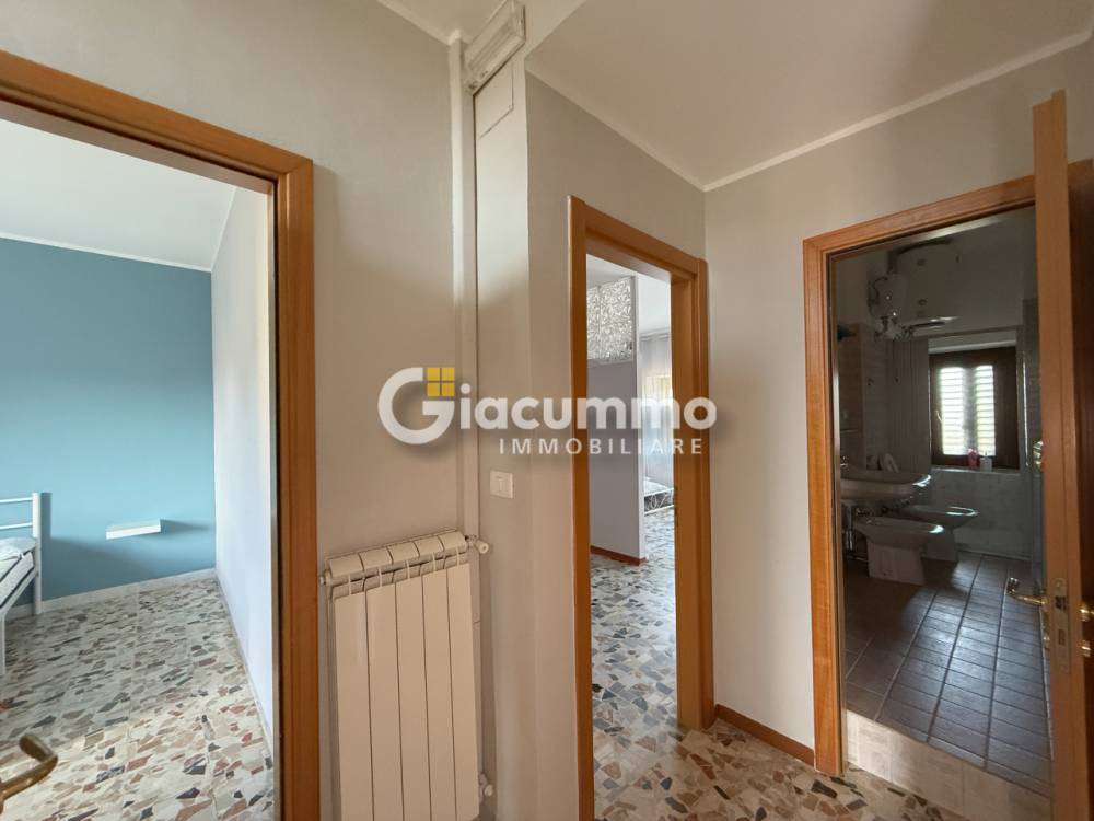 immagine annuncio 9 di 13