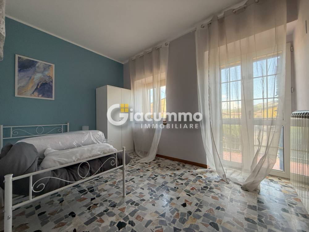 immagine annuncio 12 di 13