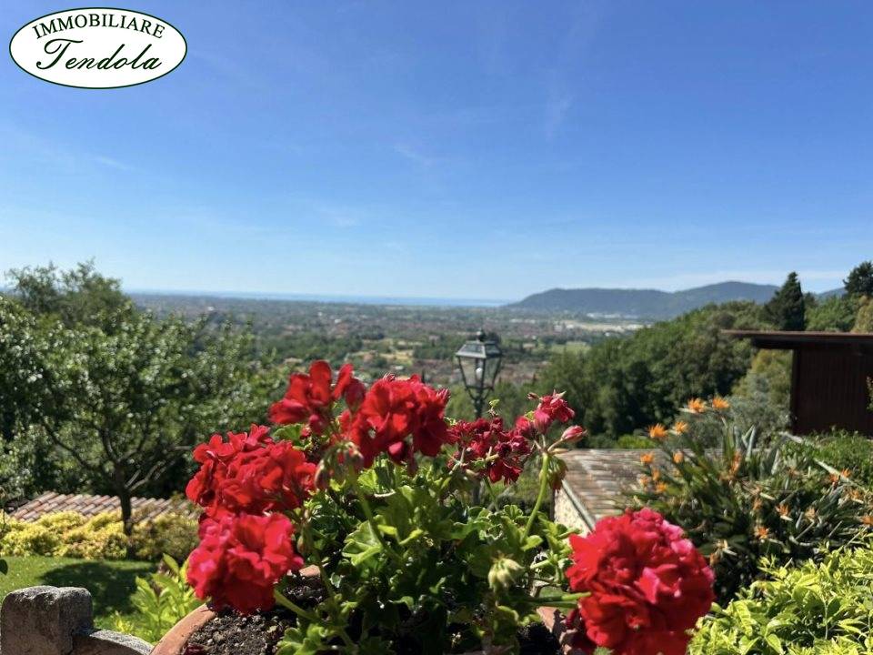 immagine annuncio 2 di 9