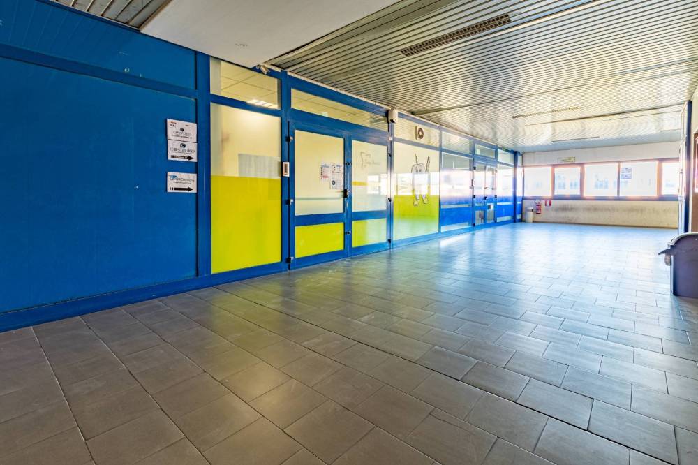 immagine annuncio 6 di 9