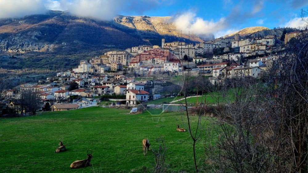 immagine annuncio 5 di 8