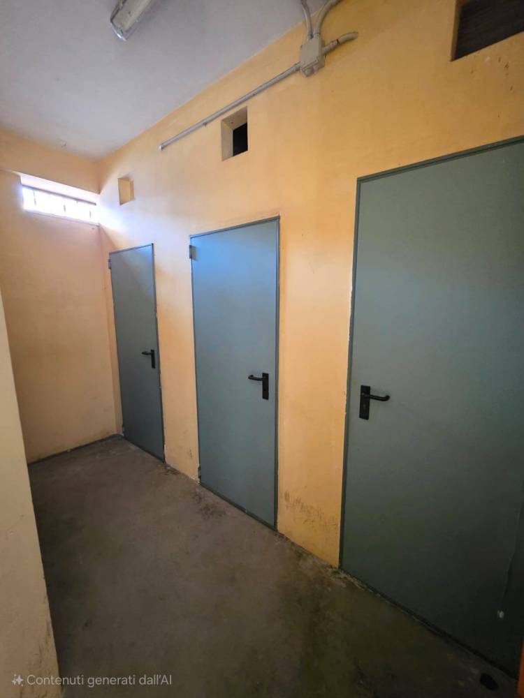 immagine annuncio 10 di 13