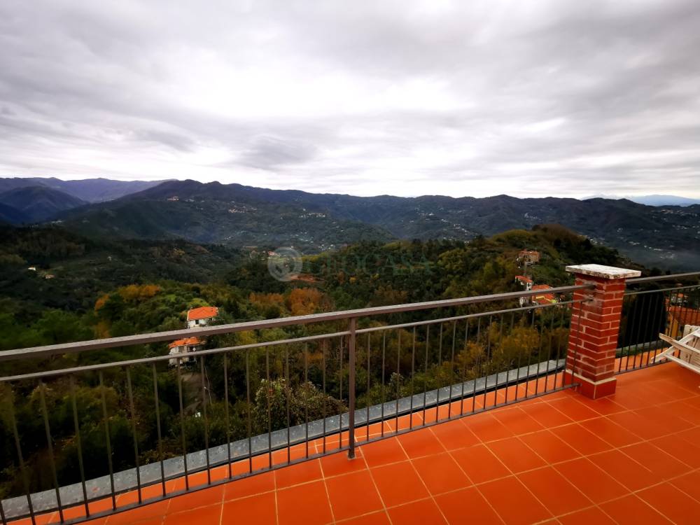 immagine annuncio 3 di 7