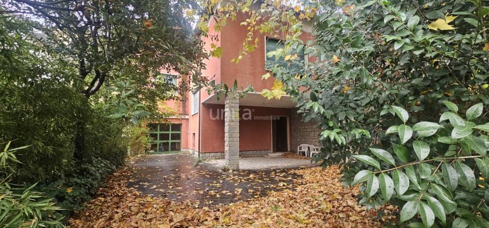 immagine annuncio 10 di 13