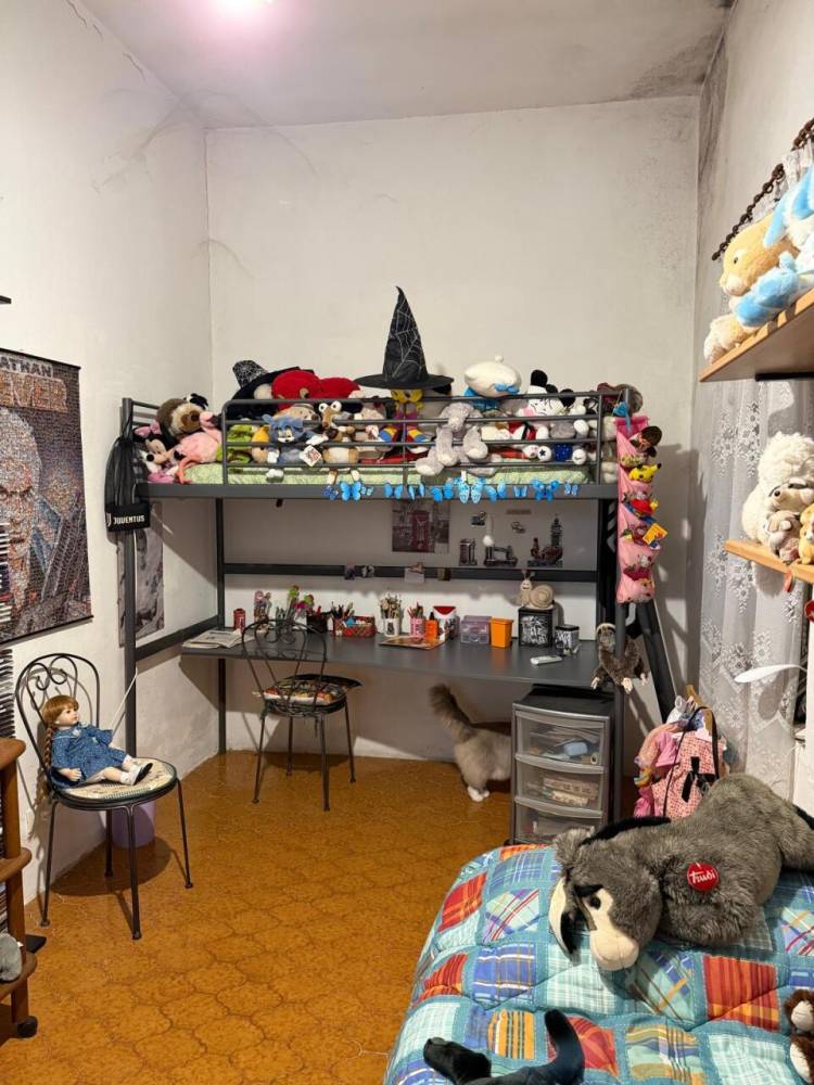 immagine annuncio 3 di 13