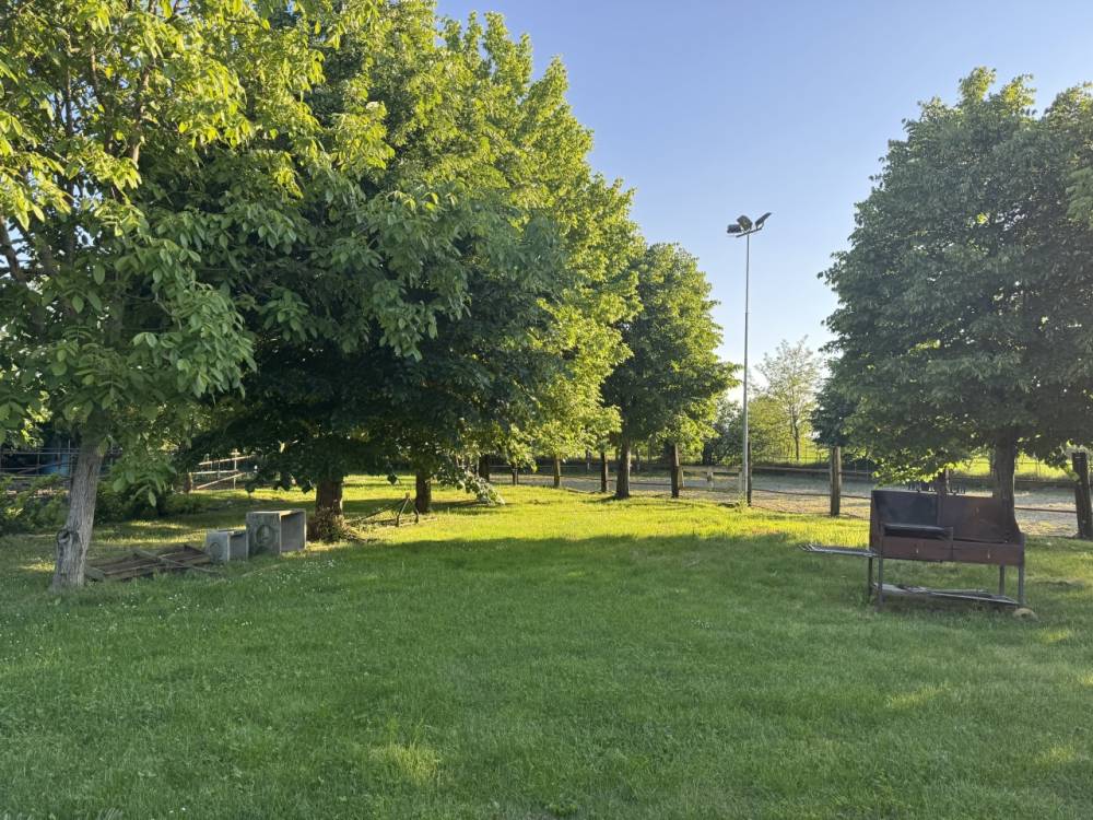 immagine annuncio 4 di 13