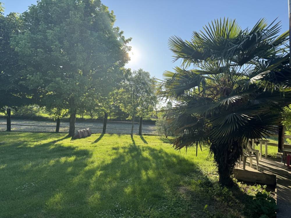 immagine annuncio 6 di 13