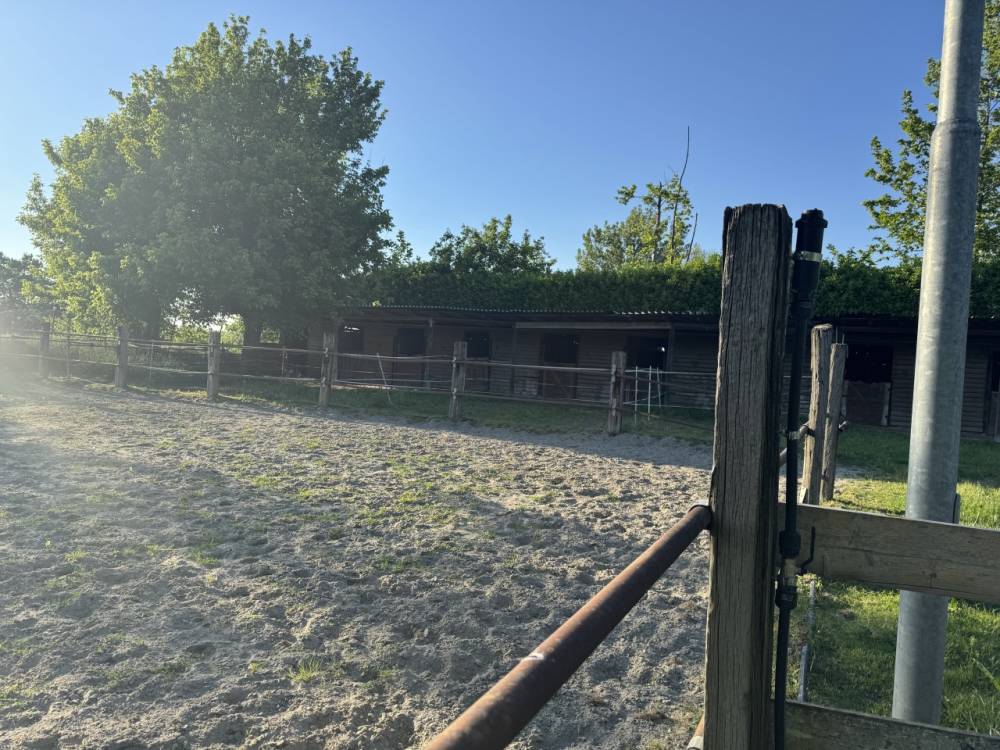 immagine annuncio 7 di 13