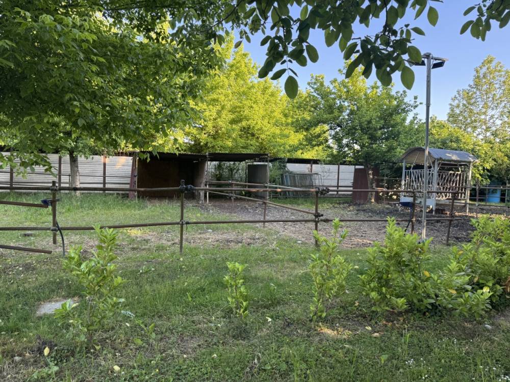 immagine annuncio 9 di 13