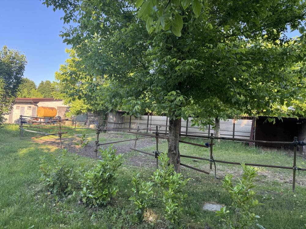 immagine annuncio 10 di 13