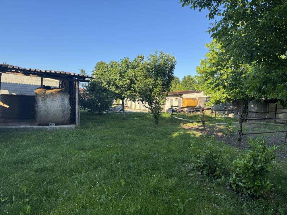 immagine annuncio 11 di 13