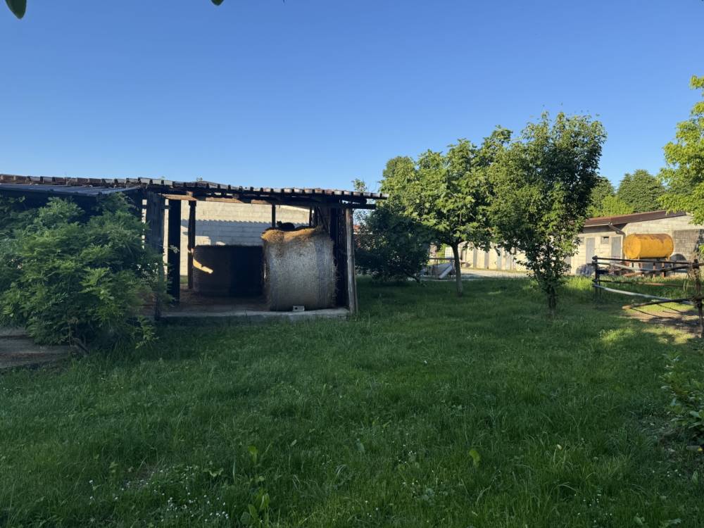 immagine annuncio 12 di 13