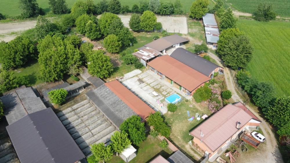 immagine annuncio 2 di 13