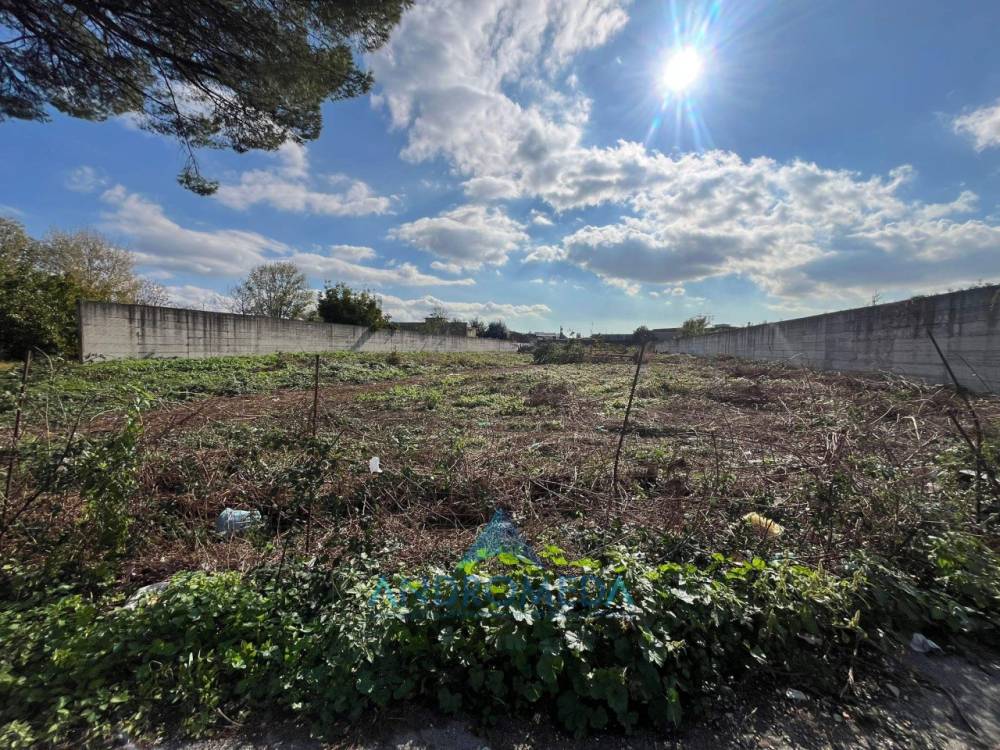 immagine annuncio 4 di 6