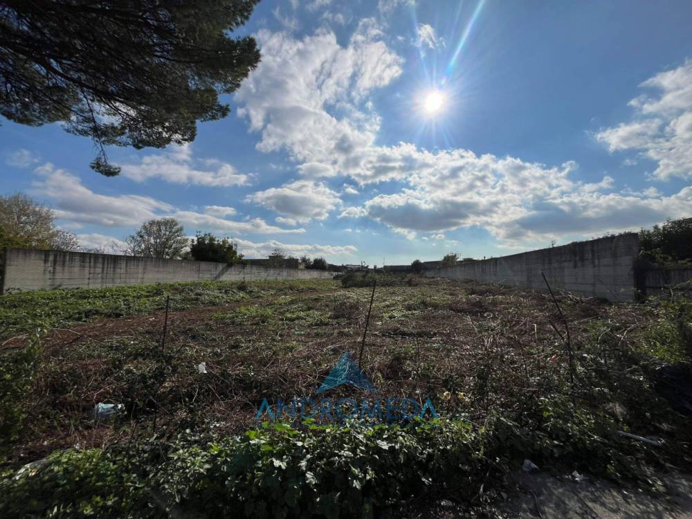 immagine annuncio 3 di 6