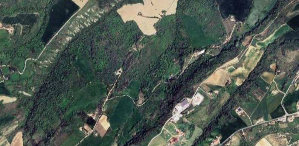 immagine annuncio 7 di 12