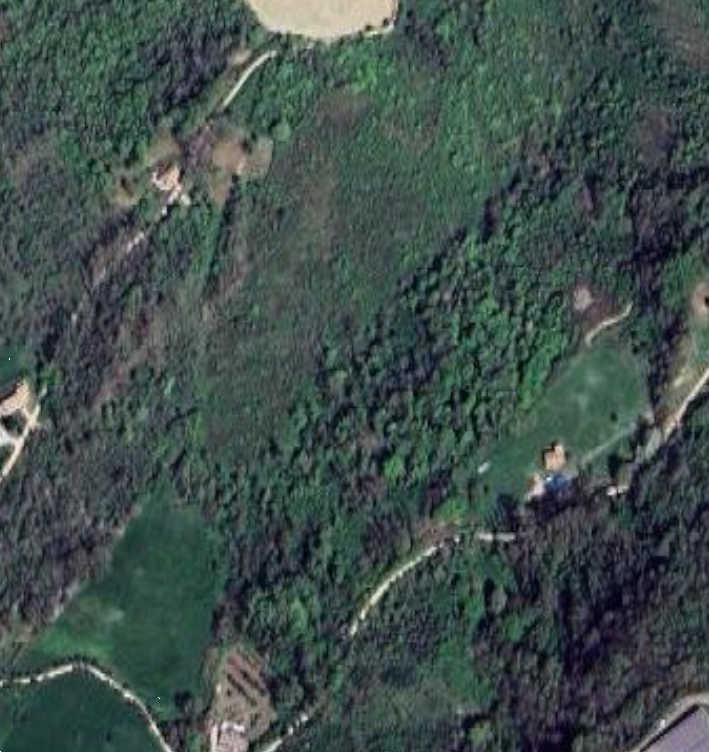 immagine annuncio 10 di 12