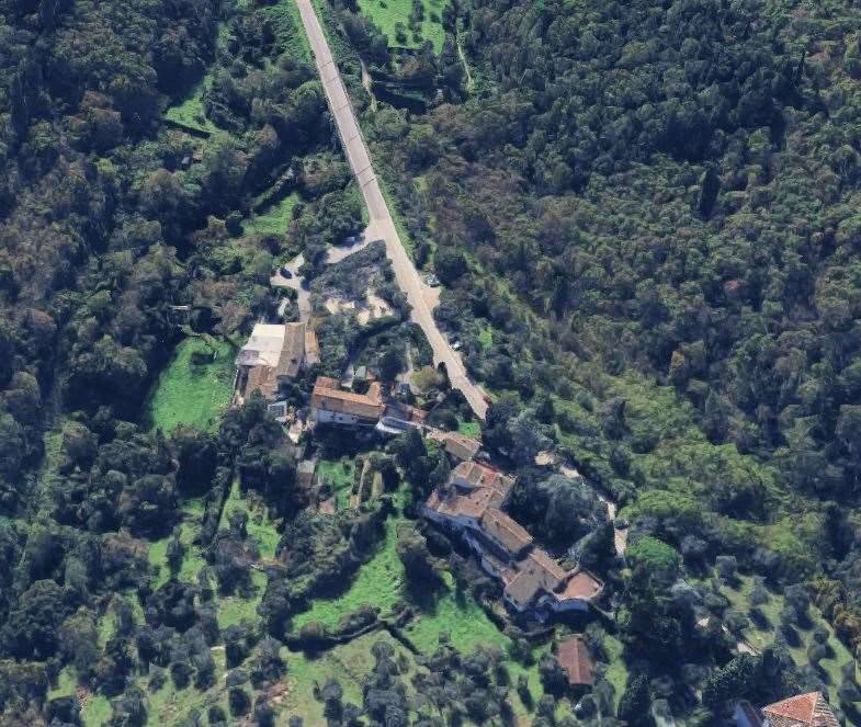 immagine annuncio 3 di 13