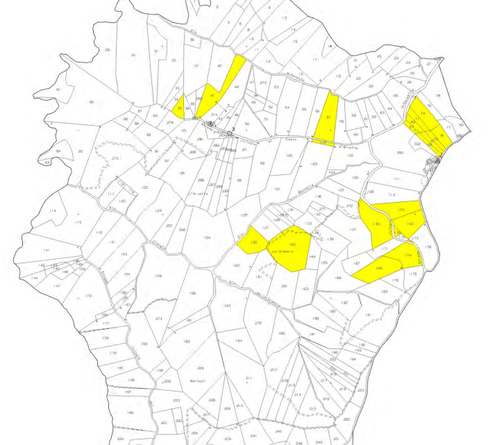 immagine annuncio 12 di 13