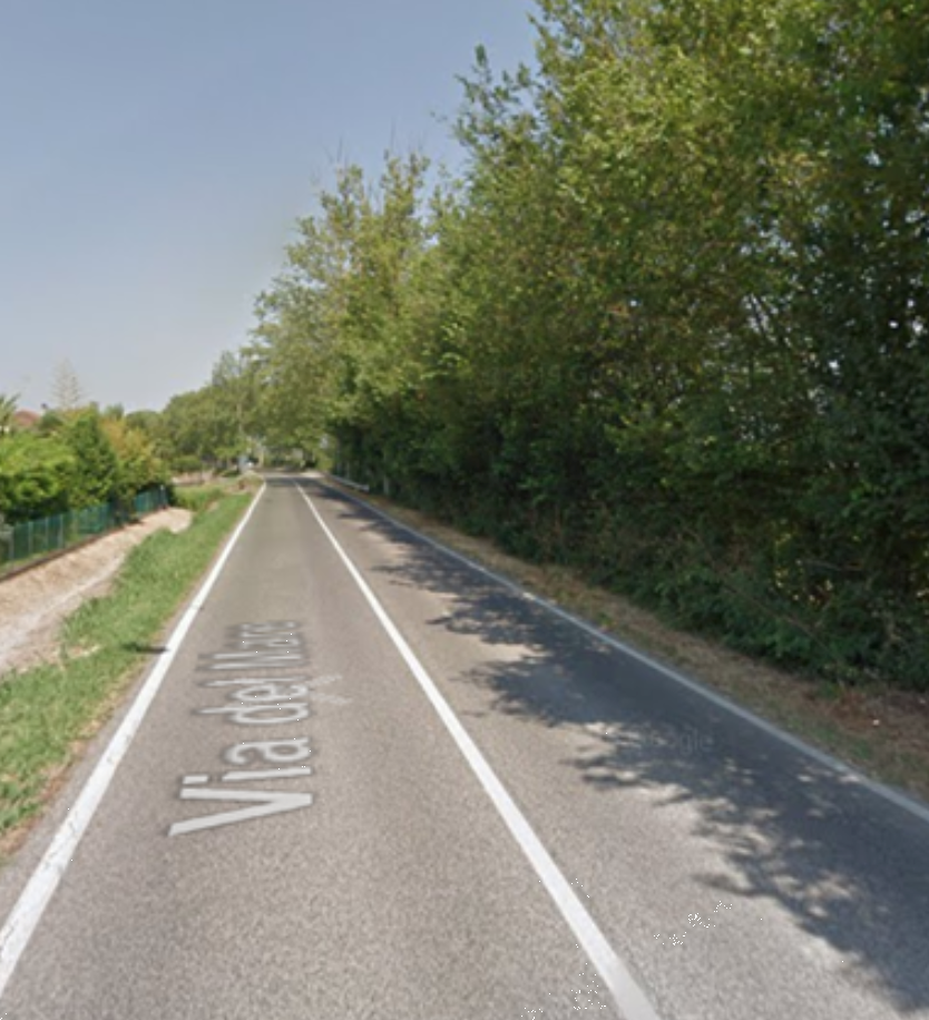 immagine annuncio 3 di 13