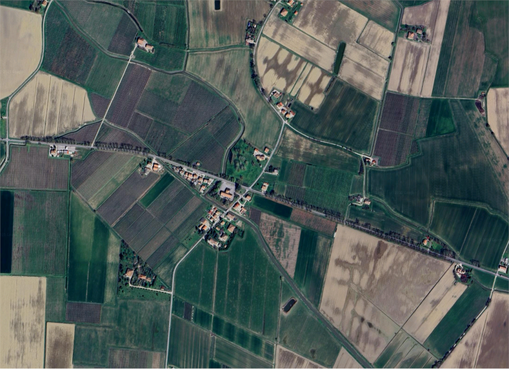 immagine annuncio 5 di 13