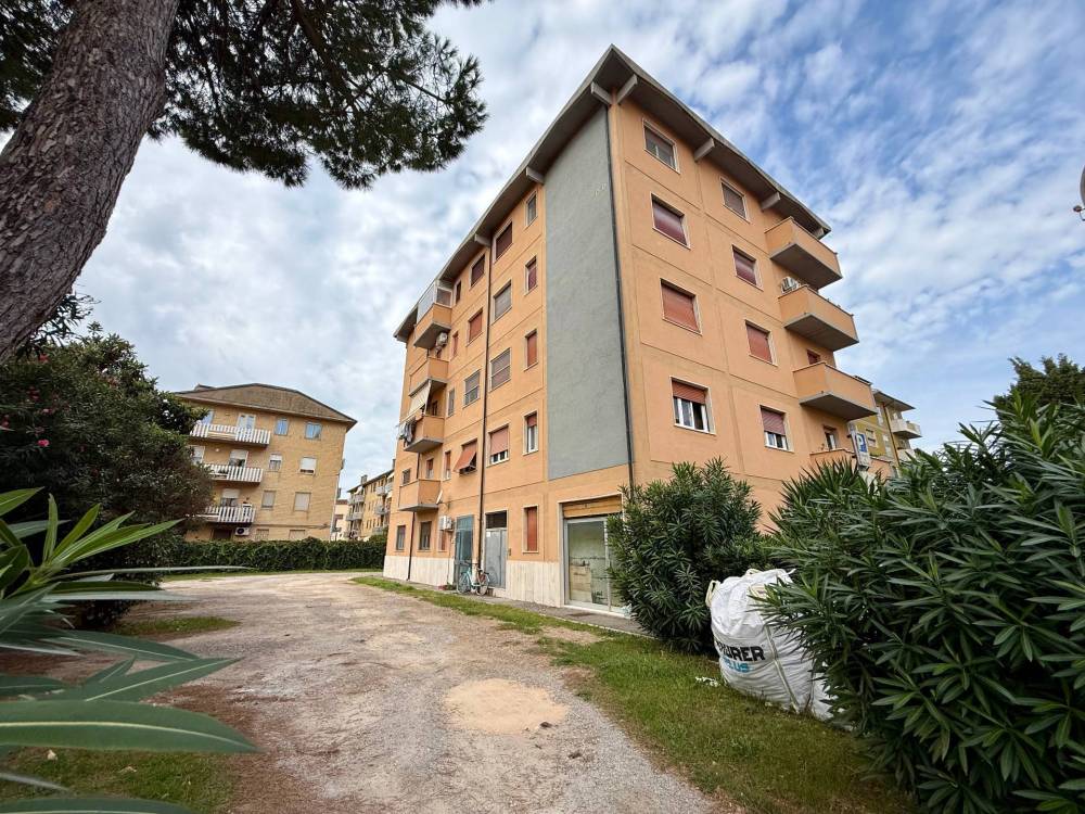 immagine annuncio 6 di 9