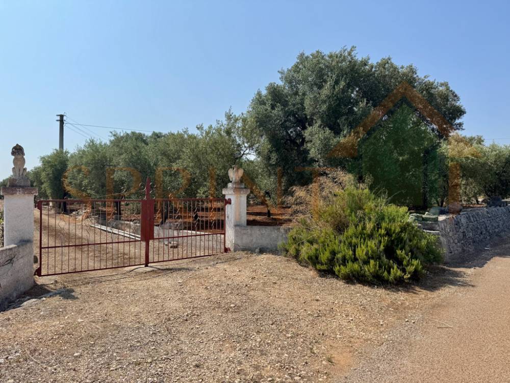 immagine annuncio 2 di 11