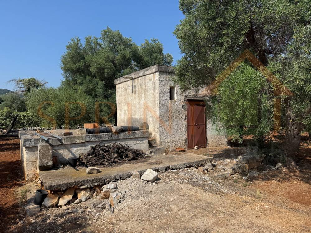 immagine annuncio 8 di 11