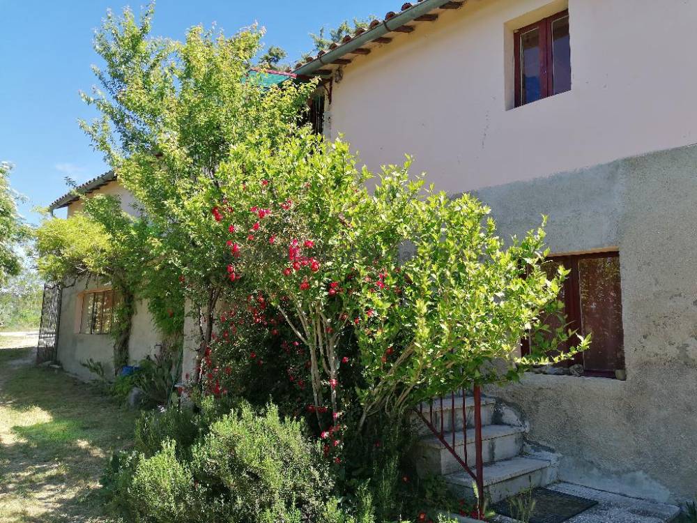 immagine annuncio 5 di 7