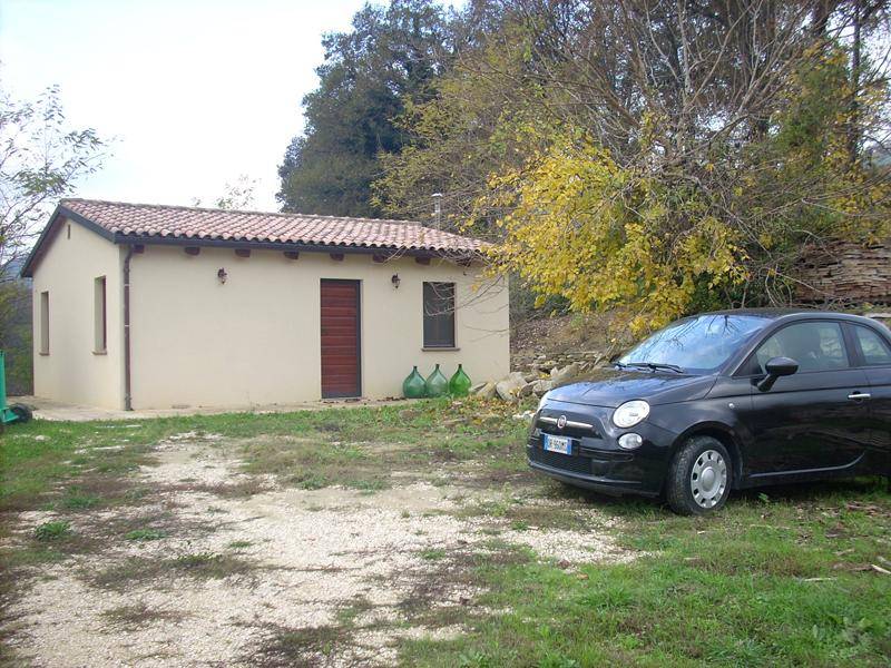 immagine annuncio 9 di 11