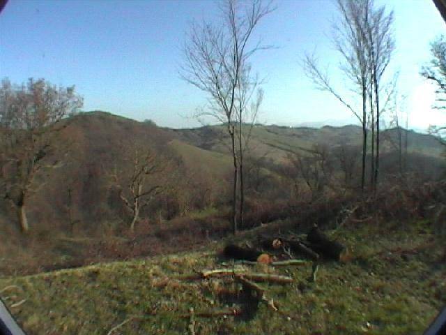 immagine annuncio 9 di 13