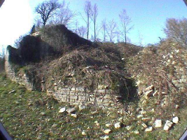 immagine annuncio 12 di 13