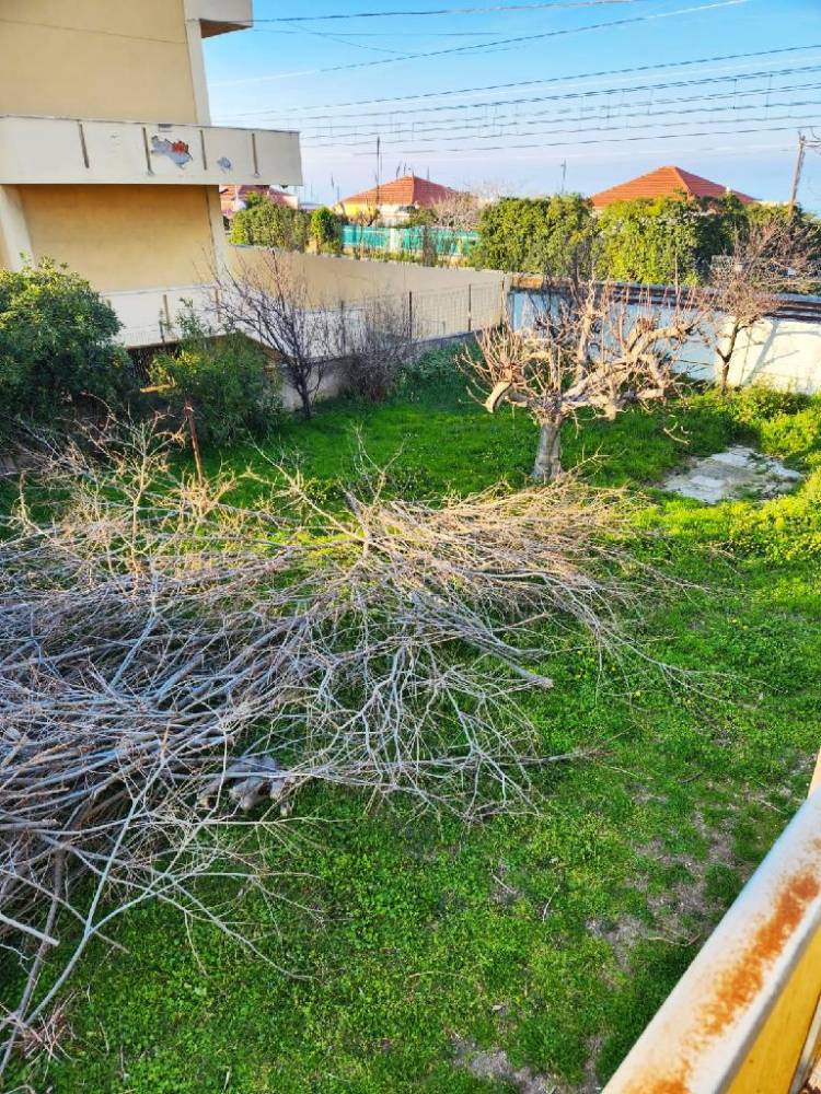 immagine annuncio 5 di 13