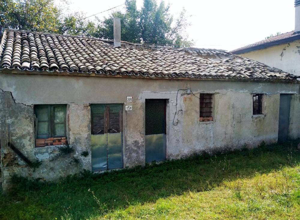 immagine annuncio 11 di 13