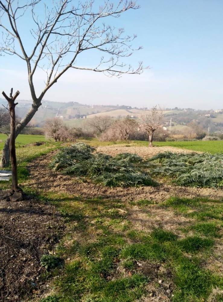 immagine annuncio 6 di 12