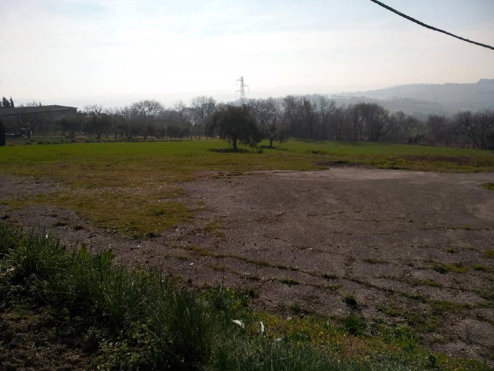 immagine annuncio 8 di 12