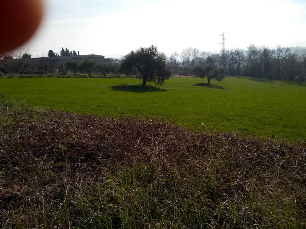 immagine annuncio 9 di 12