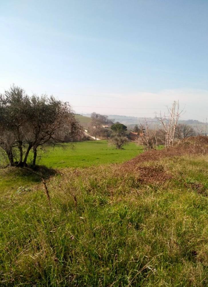 immagine annuncio 11 di 12