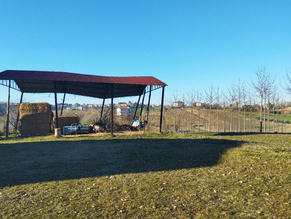 immagine annuncio 2 di 13